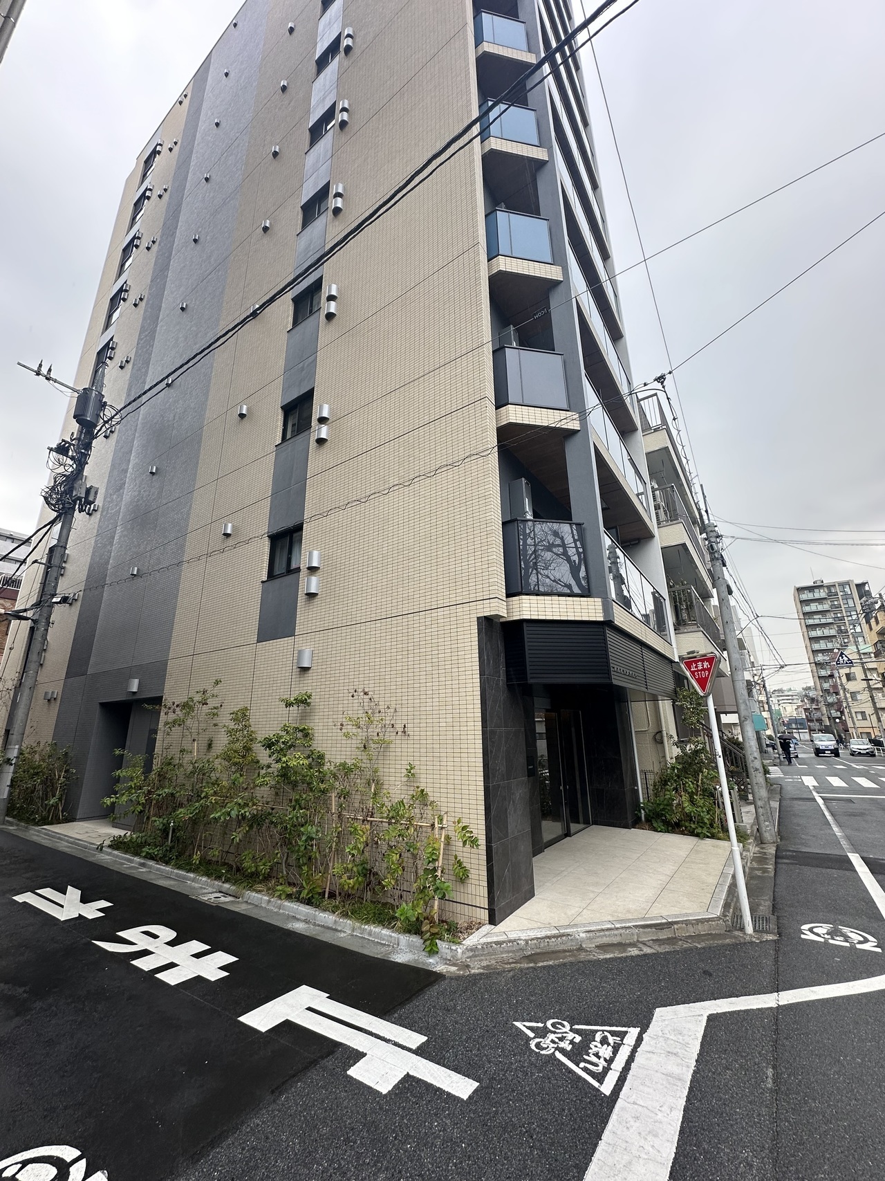 13:東京都